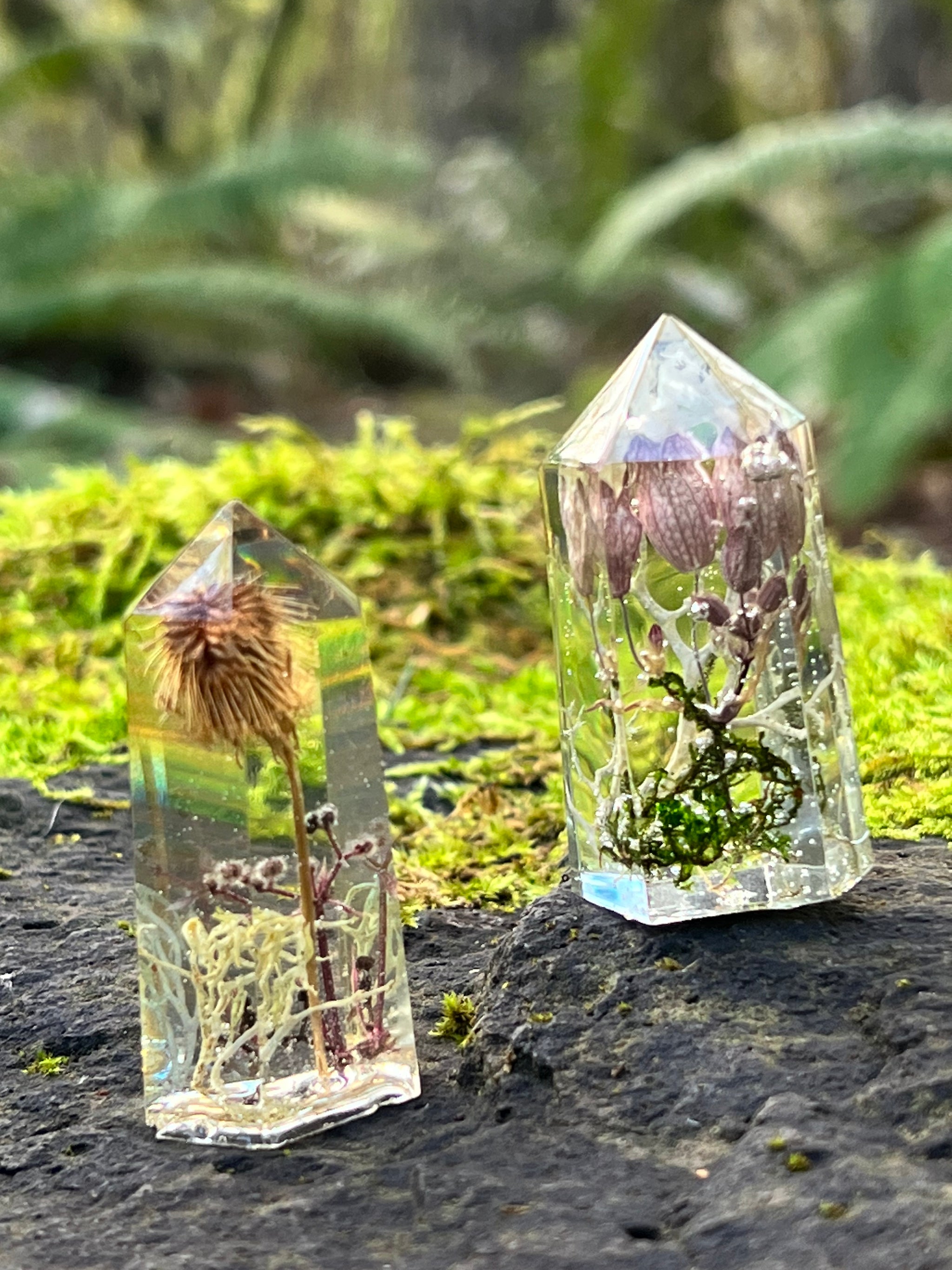 Hotsell Tower Terrarium